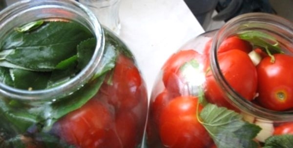 Как засолить помидоры холодным способом? Старые и новые рецепты