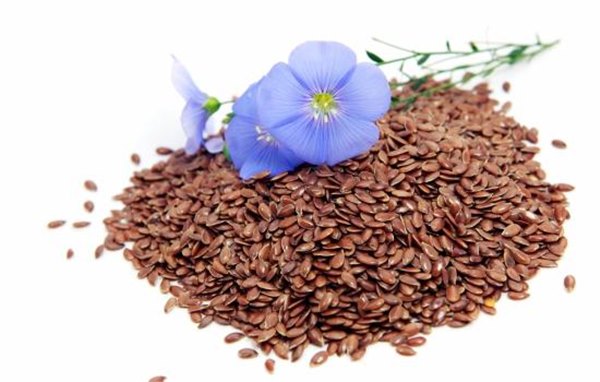 Семена льна – насколько они полезны и могут ли навредить здоровью