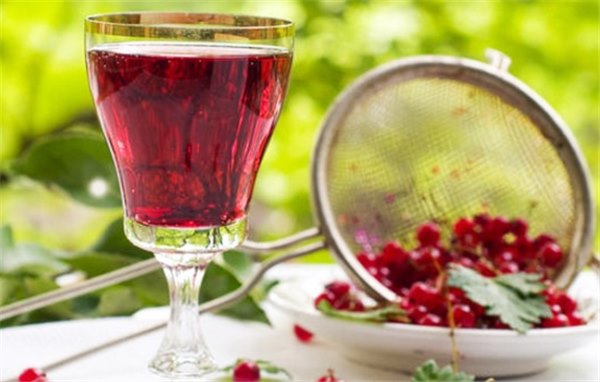Вино из красной смородины: основные этапы приготовления плодово-ягодных вин. Рецепты домашних вин из красной смородины