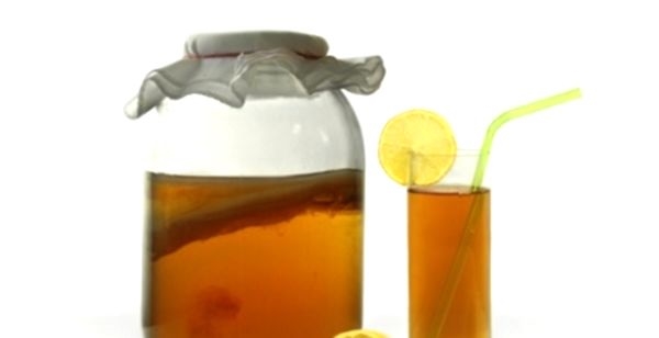 Чайный гриб - польза и вред популярного напитка