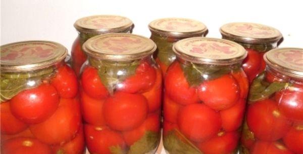 Как солить помидоры, рецепт приготовления томатов на зиму