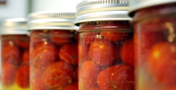 Как засолить помидоры холодным способом? Старые и новые рецепты