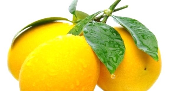 Раскрываем секреты: как вырастить лимон из косточки в домашних условиях