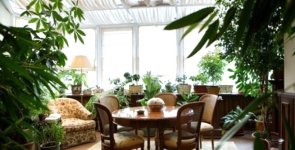 Зимний сад в квартире - ищем возможности и выбираем стиль