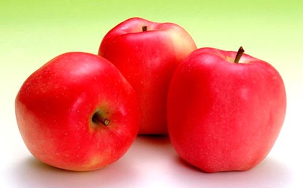 Пошаговые рецепты шарлотки в мультиварке с яблоками