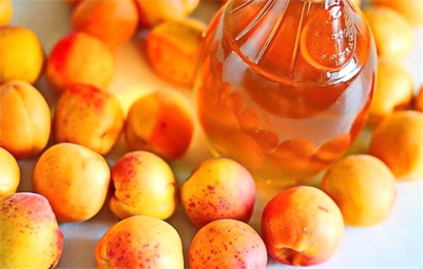 Брага из абрикосов – как её сделать правильно