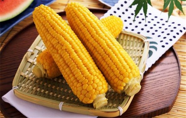 Хранение кукурузы в домашних условиях: где, как и сколько