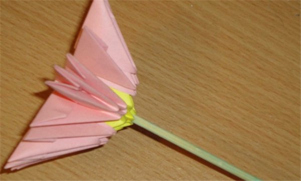 Как сделать лилию из бумаги своими руками: три разных способа (с фото). Она такая красивая – лилия из бумаги своими руками!