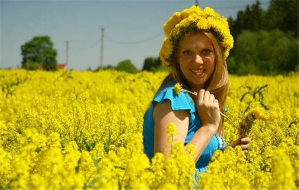 Одуванчик для лица: как весенний цветок поможет сохранить красоту? Применение одуванчика для лица: тоники, лосьоны, маски