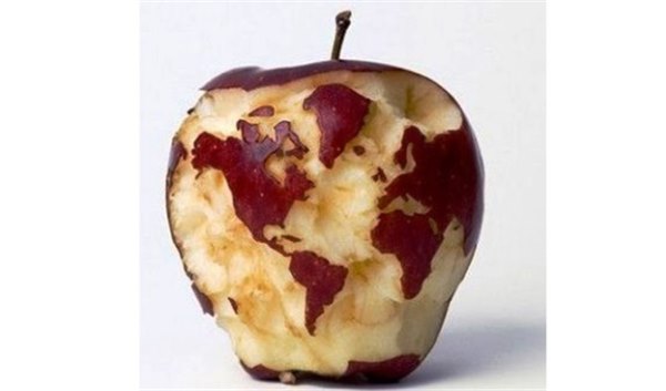 Поделки из яблока своими руками: ежик, бабочка, мудрая сова, карта мира. Художественная резьба по яблоку своими руками