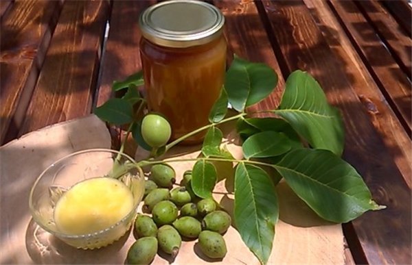Полезные свойства зеленого грецкого ореха с медом – простой рецепт