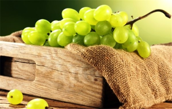 Правильное хранение винограда в домашних условиях. Секреты «бывалых»: как хранить виноград в домашних условиях до нового урожая