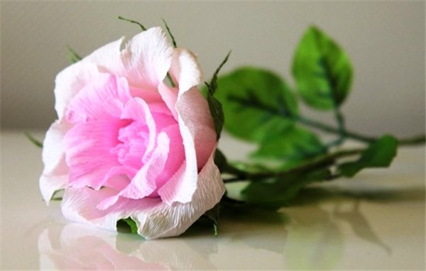Рукотворное чудо: как сделать розу из гофрированной бумаги