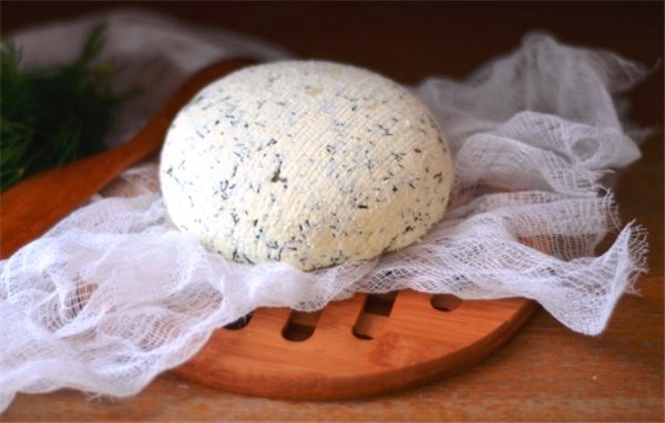 Сыр из кефира в домашних условиях – вкусно, экономно, полезно